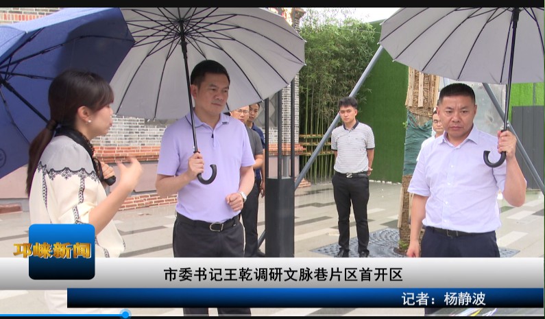 【20200716】市委书记王乾调