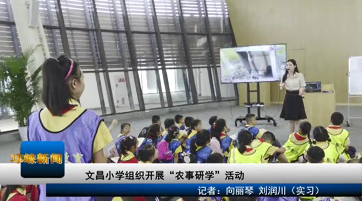【20200812】文昌小学组织开