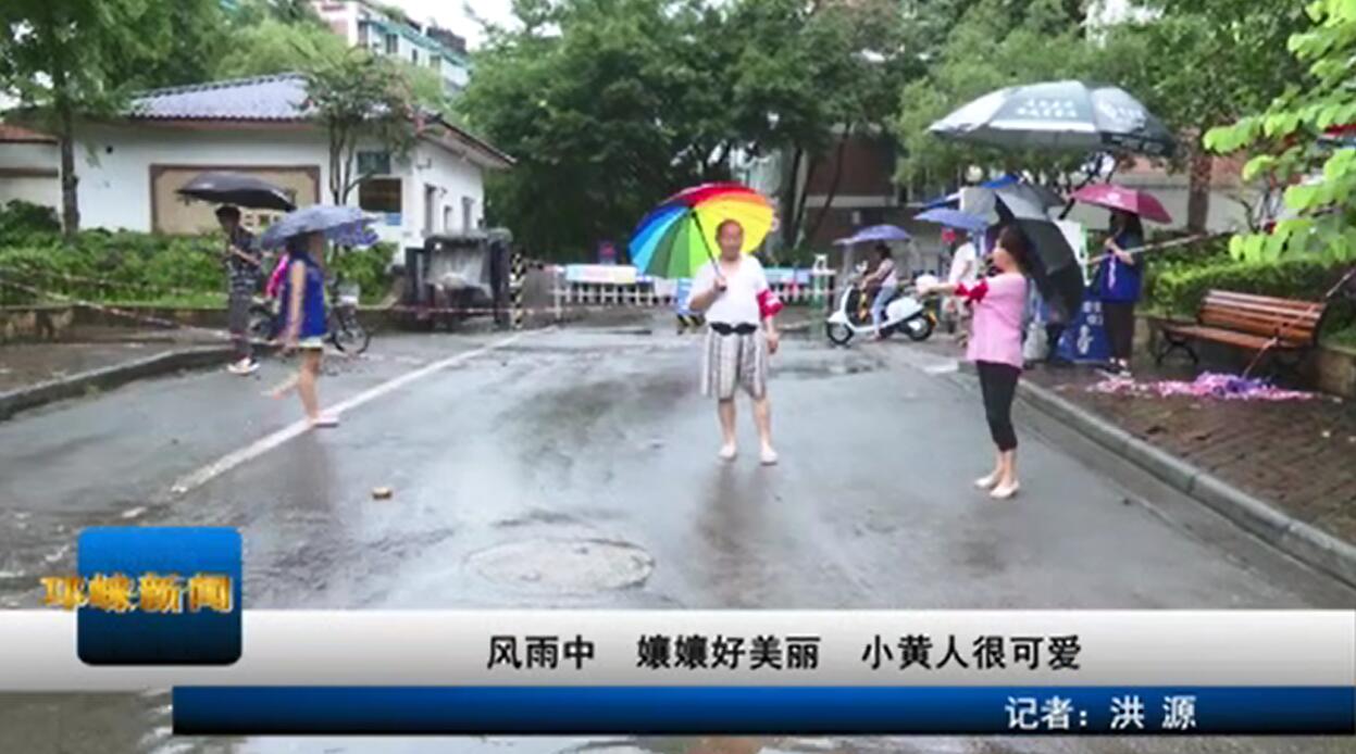 【20200812】风雨中 孃孃好