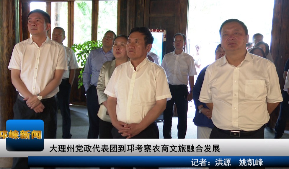 【20200916】大理州党政代表