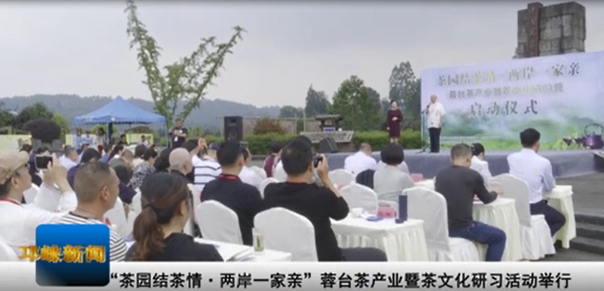 【20200924】 “茶园结茶情