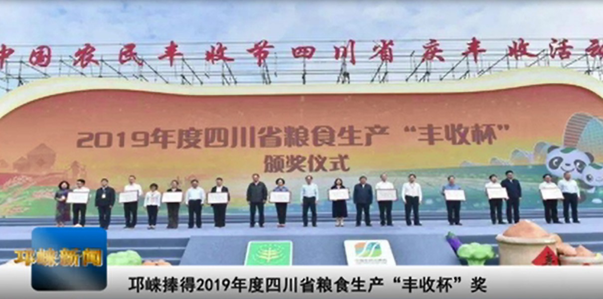 【20201014】邛崃捧得2019年