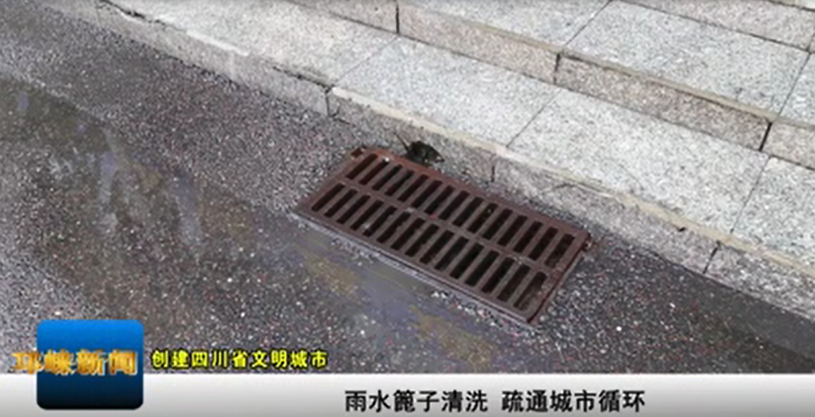 【20201028】雨水篦子清洗
