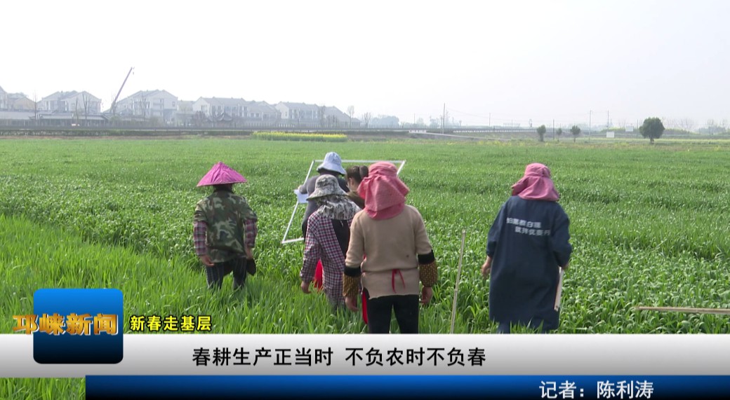 【20210224】春耕生产正当时