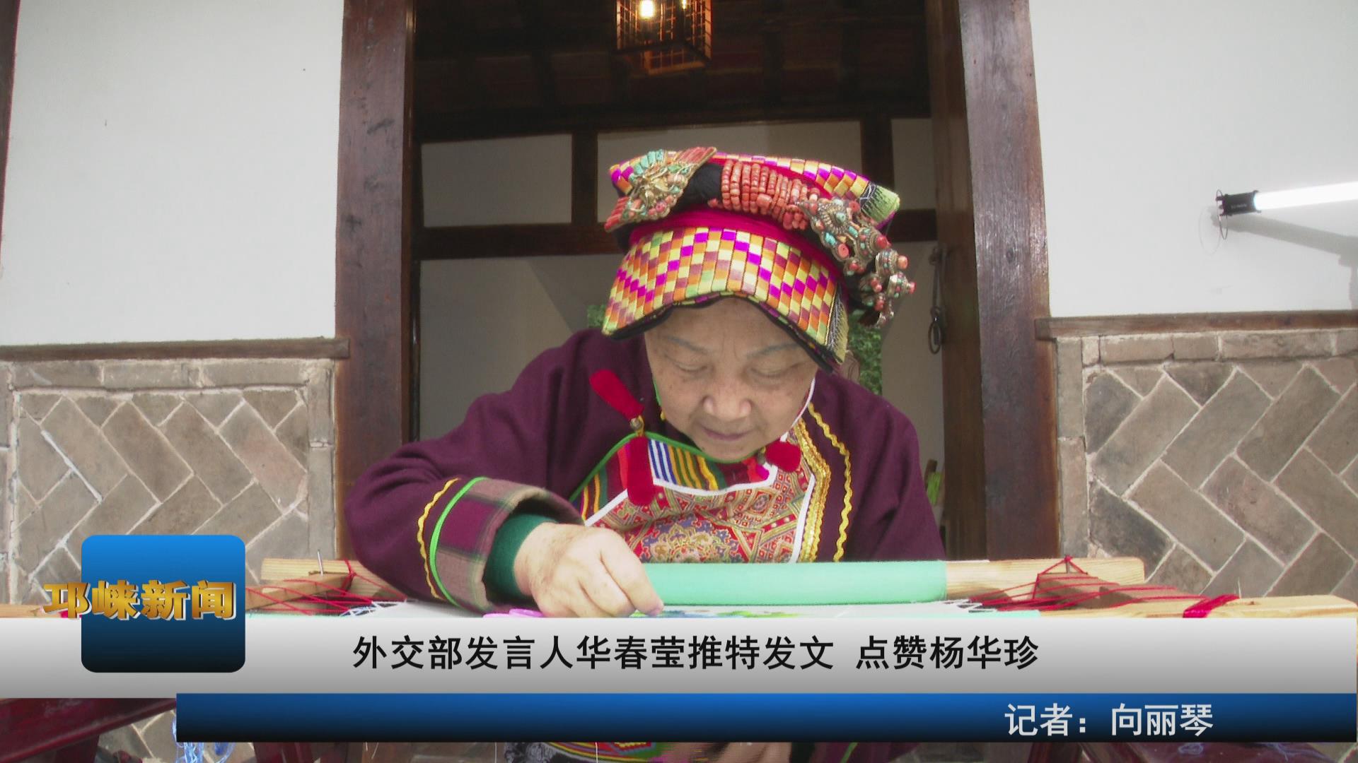 【20210319】外交部发言人华