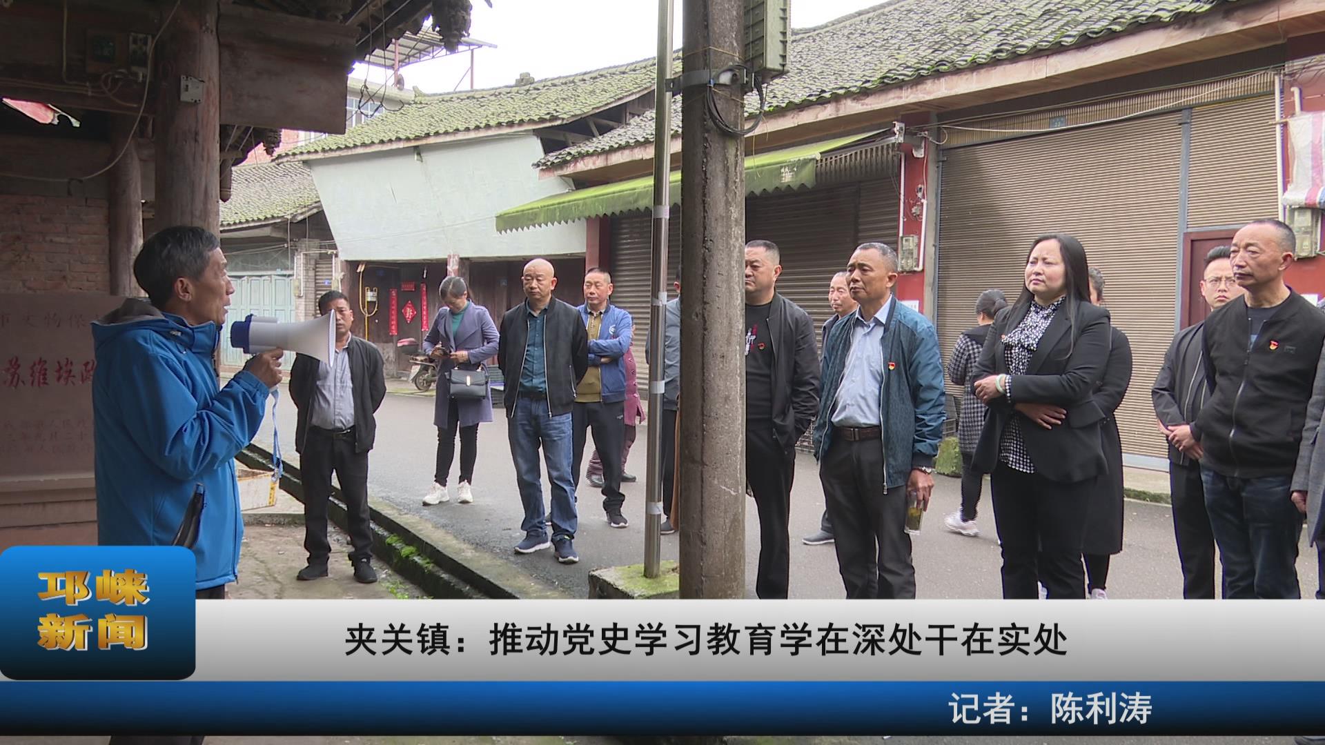 【20210419】夹关镇：推动党