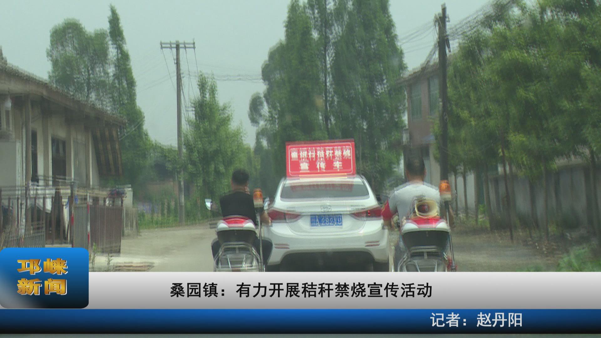 【20210513】桑园镇：有力开