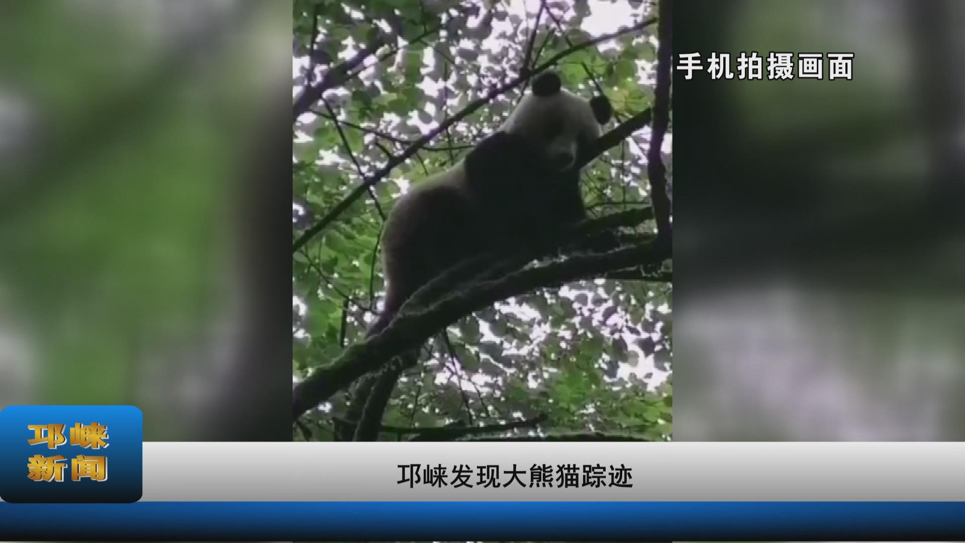 【20210720】邛崃又双叒发现