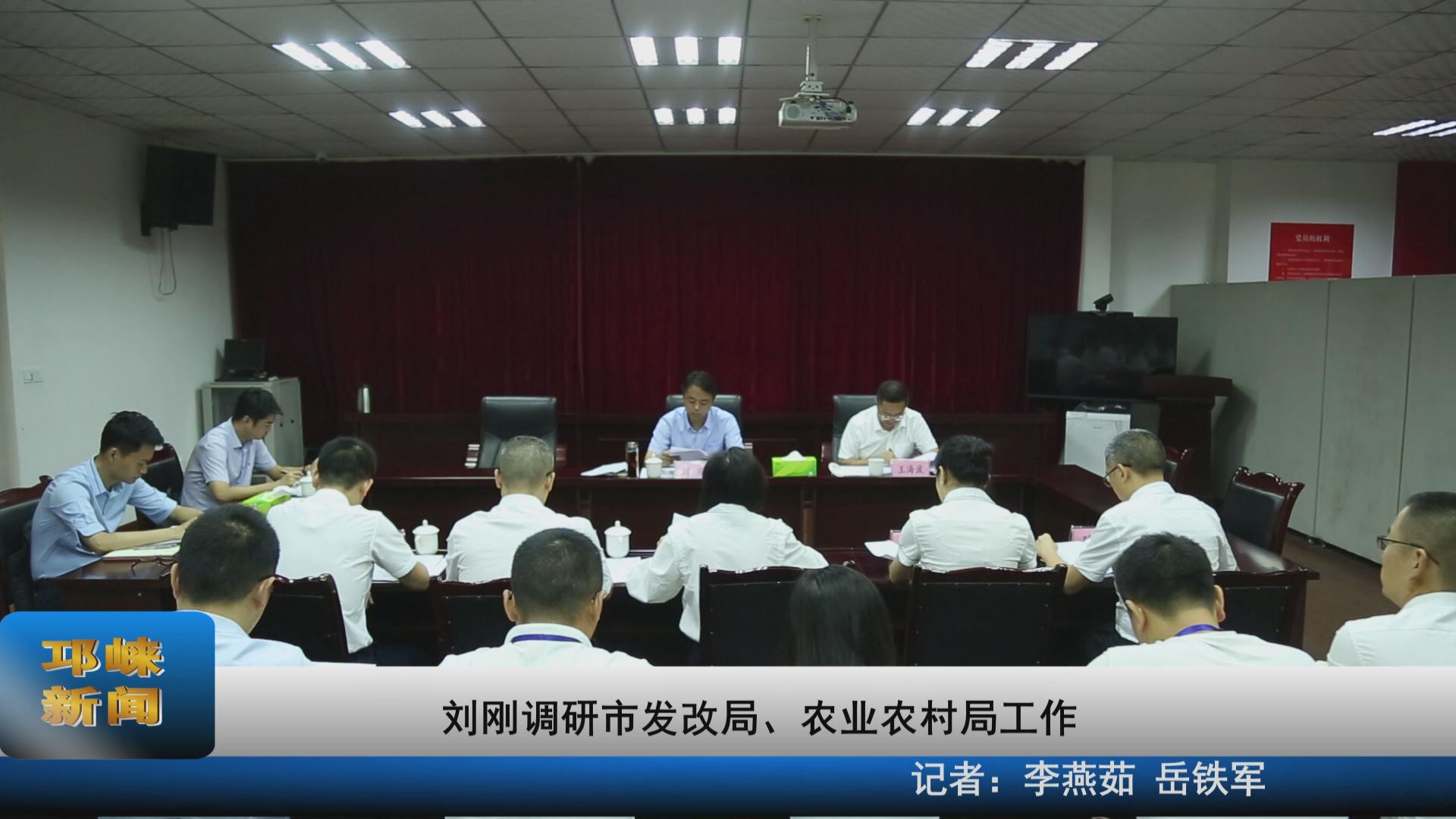 【20210812】刘刚调研市发改