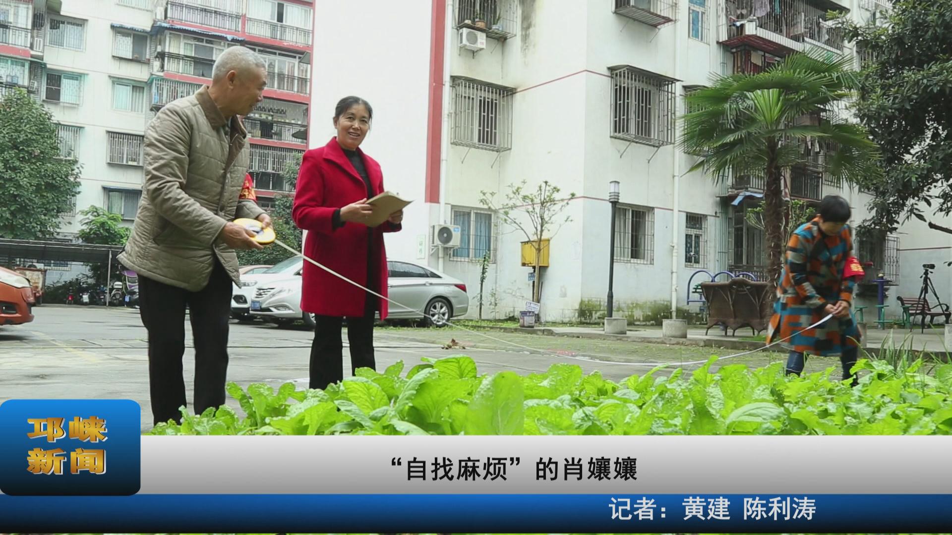 【20211115】“自找麻烦”的