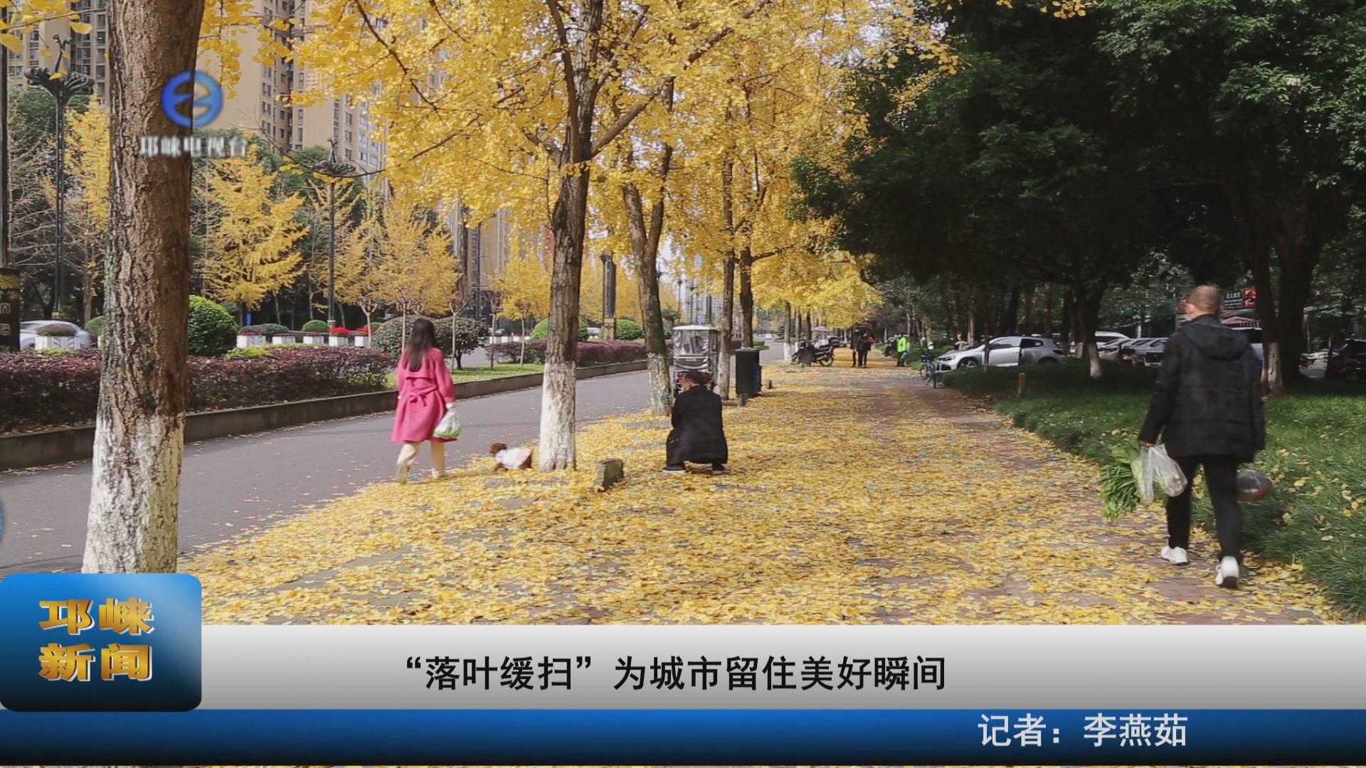 【20211122】“落叶缓扫”为