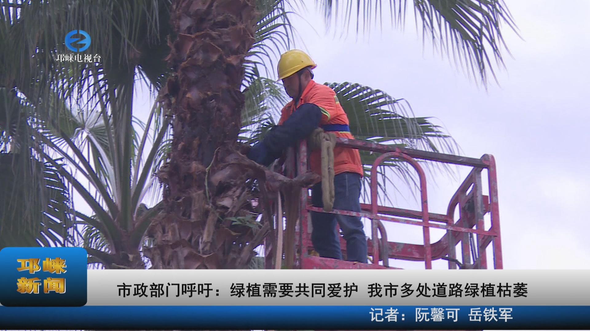 【20211206】市政部门呼吁：