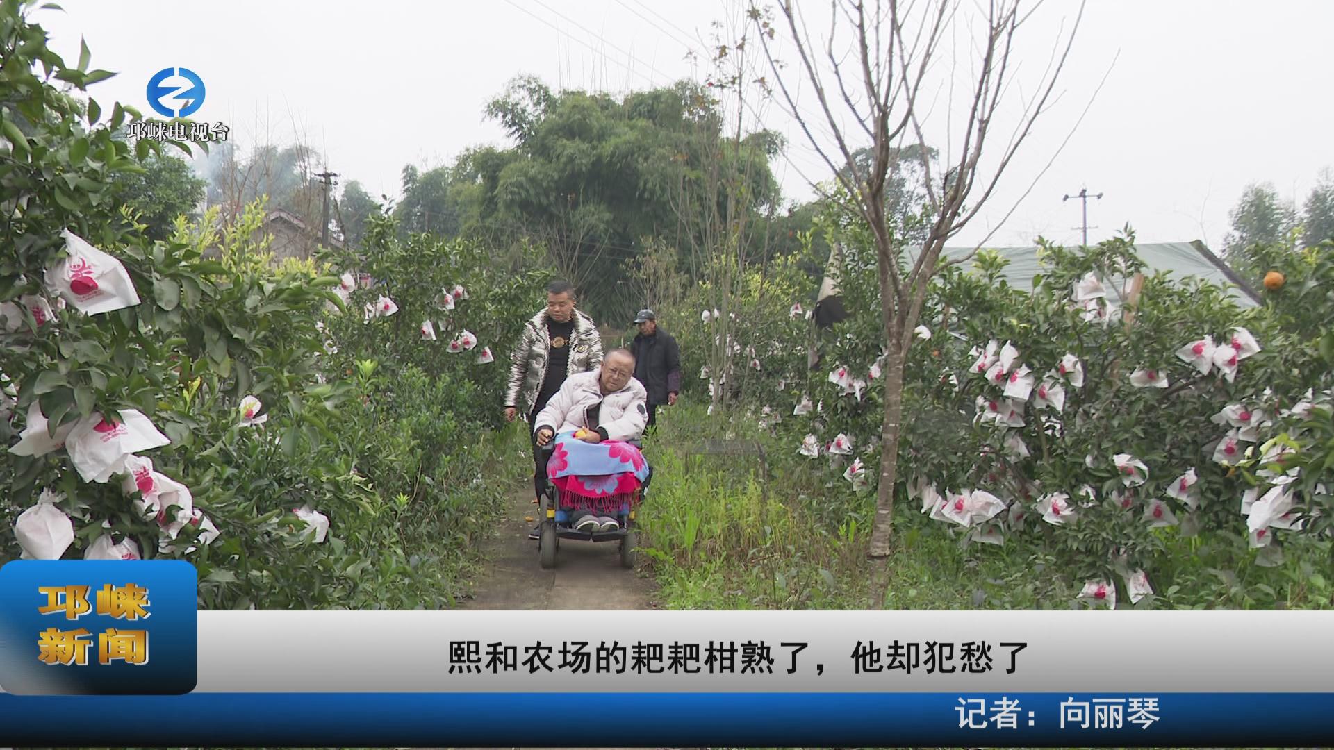 【20220112】熙和农场的耙耙