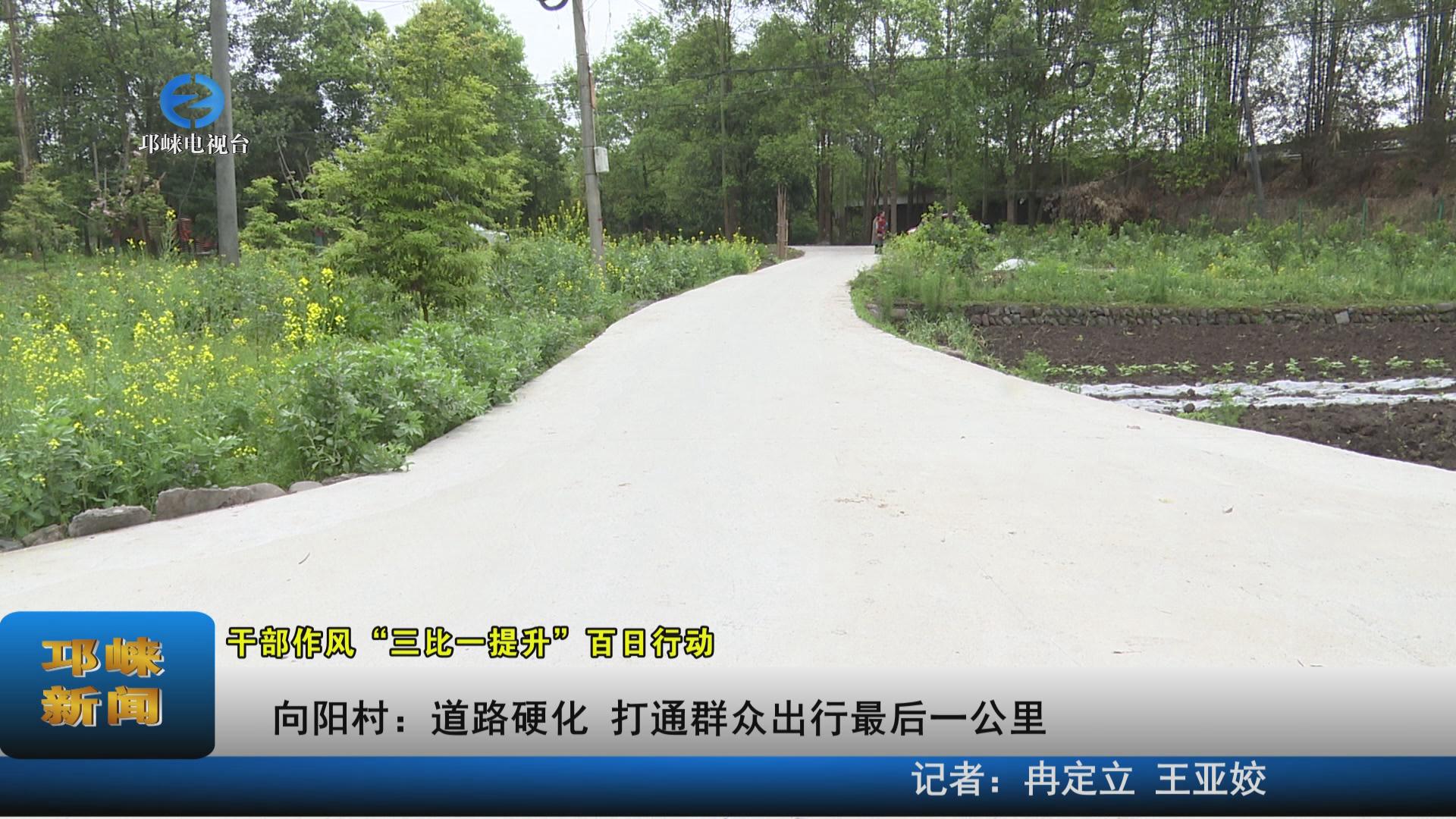 【20220329】向阳村：道路硬