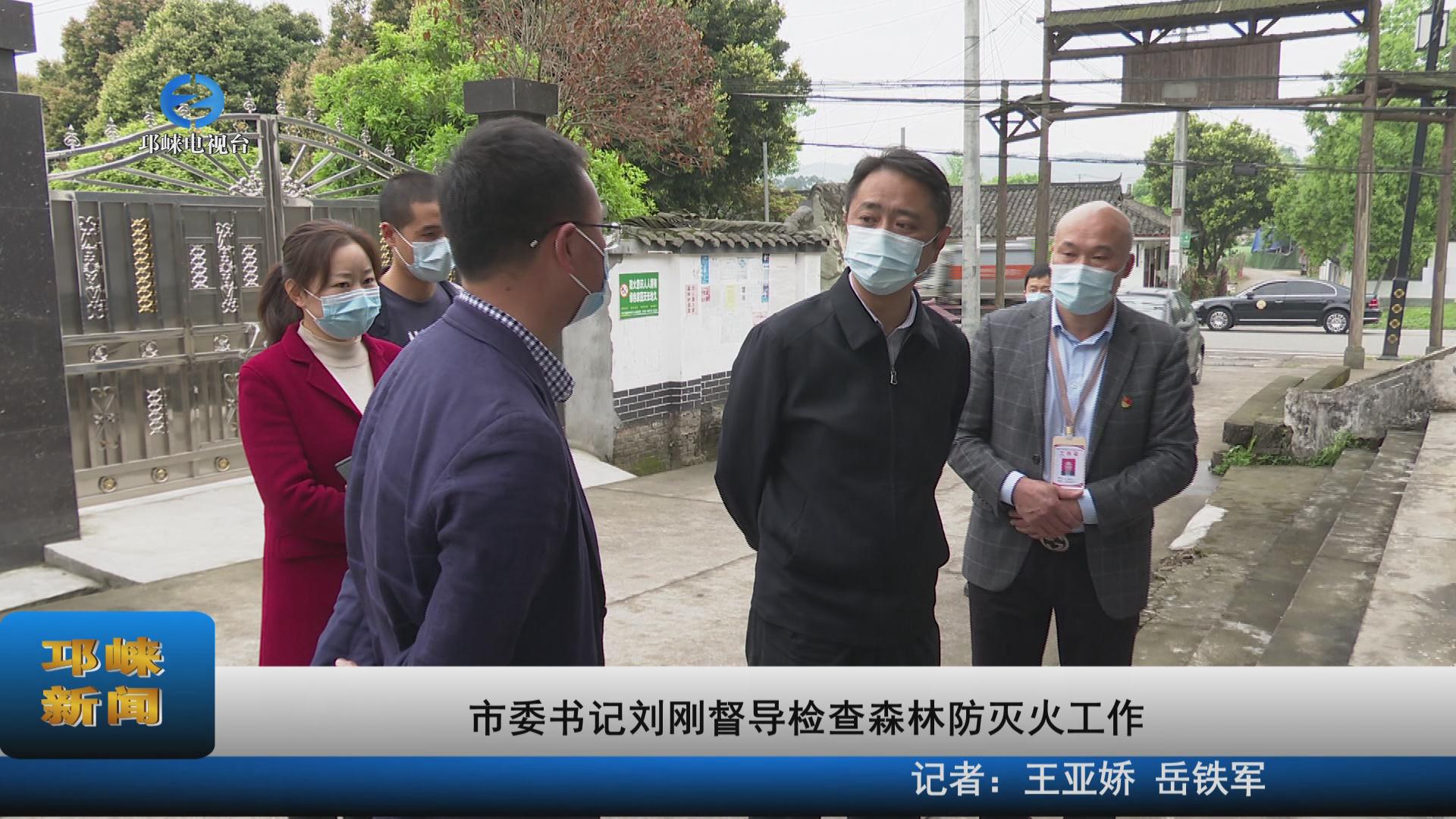 【20220330】市委书记刘刚督