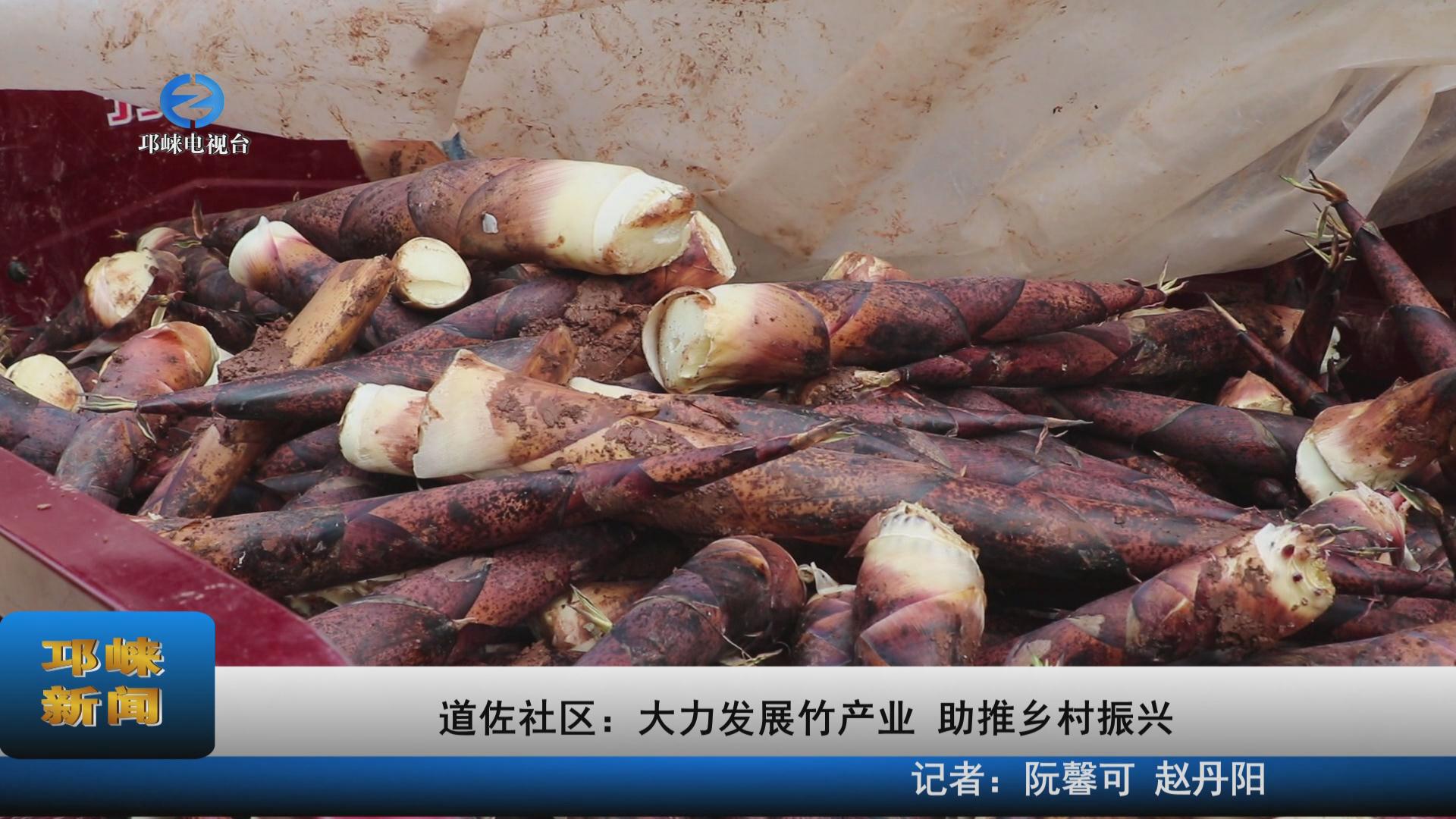 【20220411】道佐社区：大力