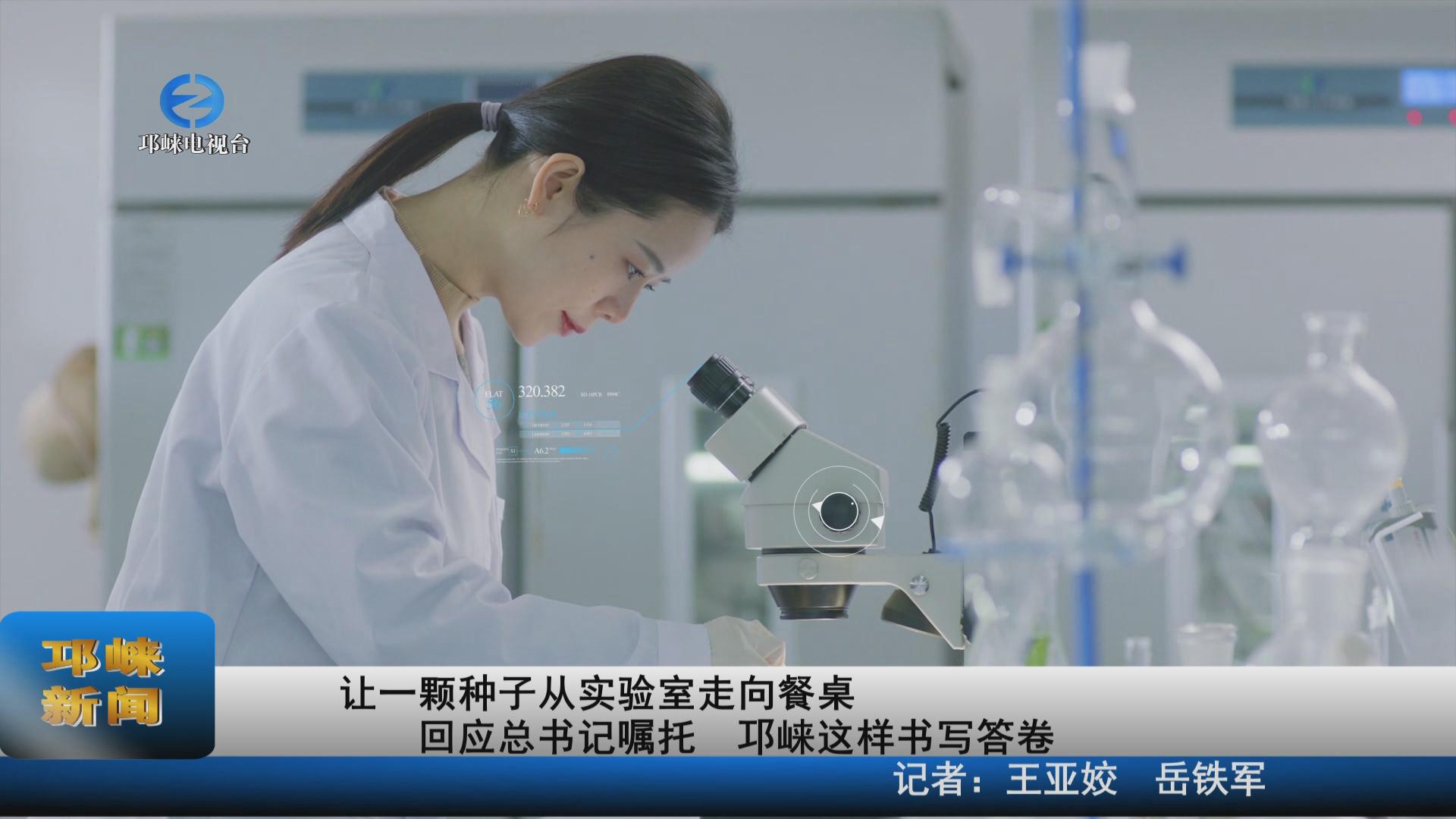 【20220415】让一颗种子从实