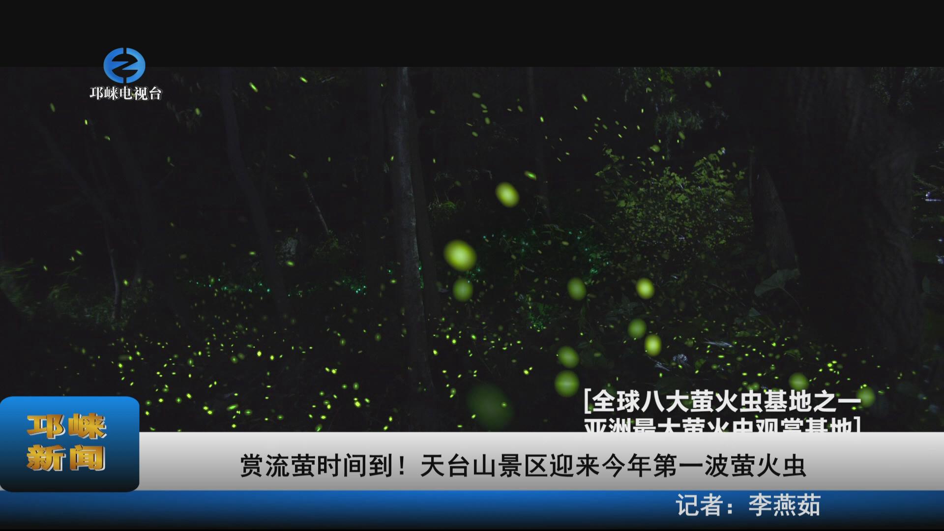 【20220421】赏流萤时间到！