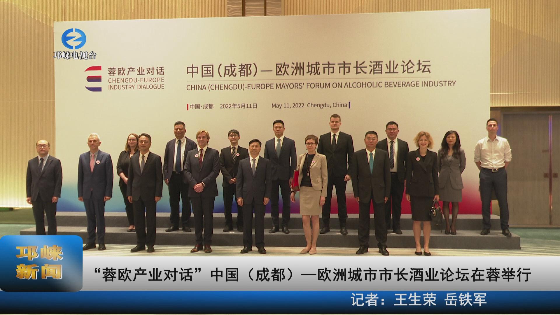 【20220512】“蓉欧产业对话
