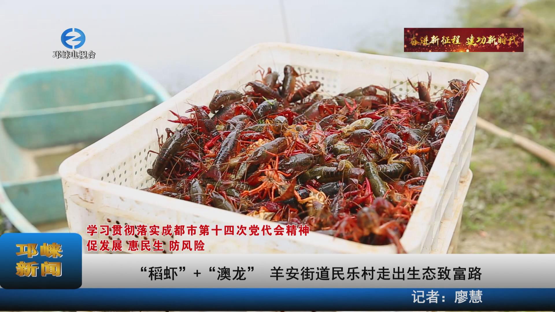 【20220608】“稻虾”+“澳