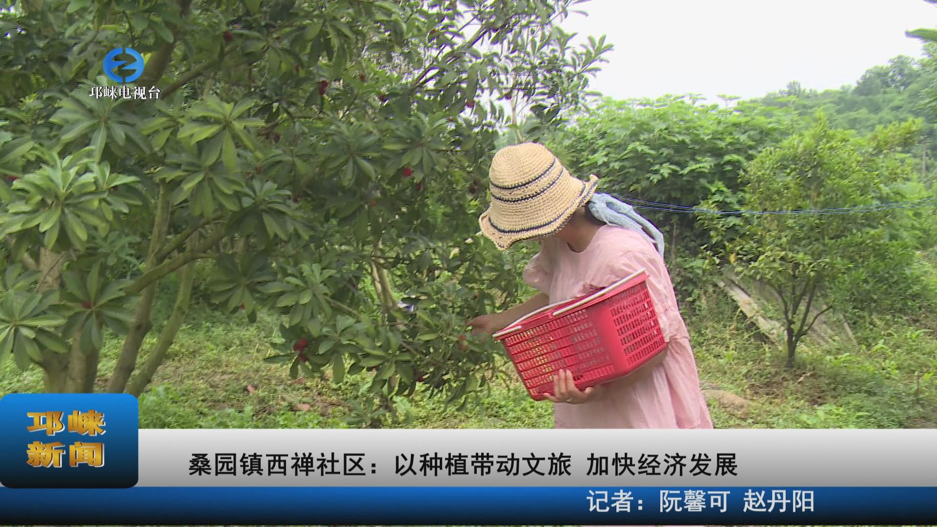 【20220620】桑园镇西禅社区