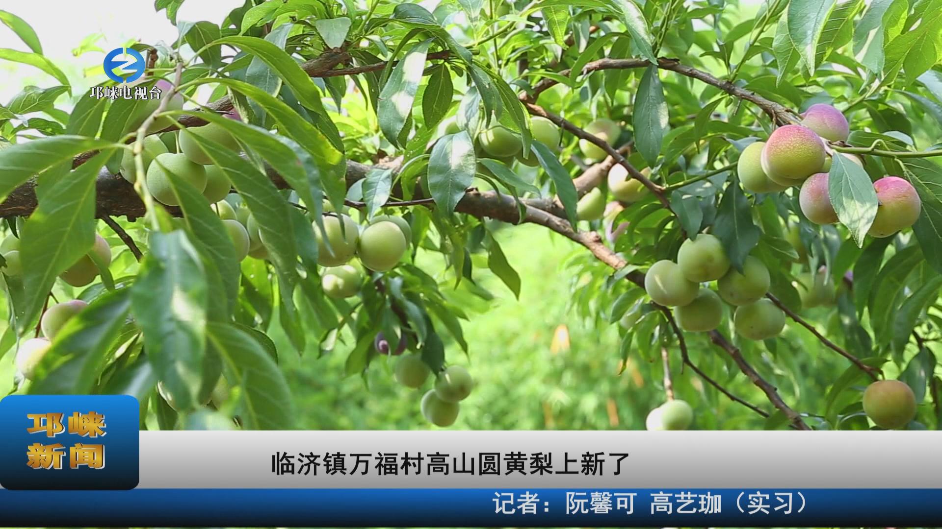 【20220719】临济镇万福村高