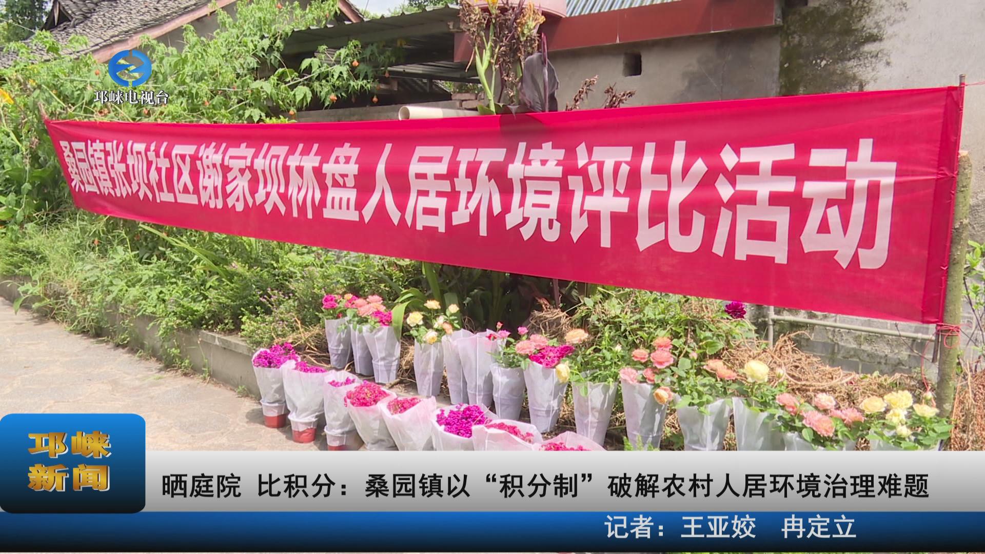 【20220720】晒庭院 比积分
