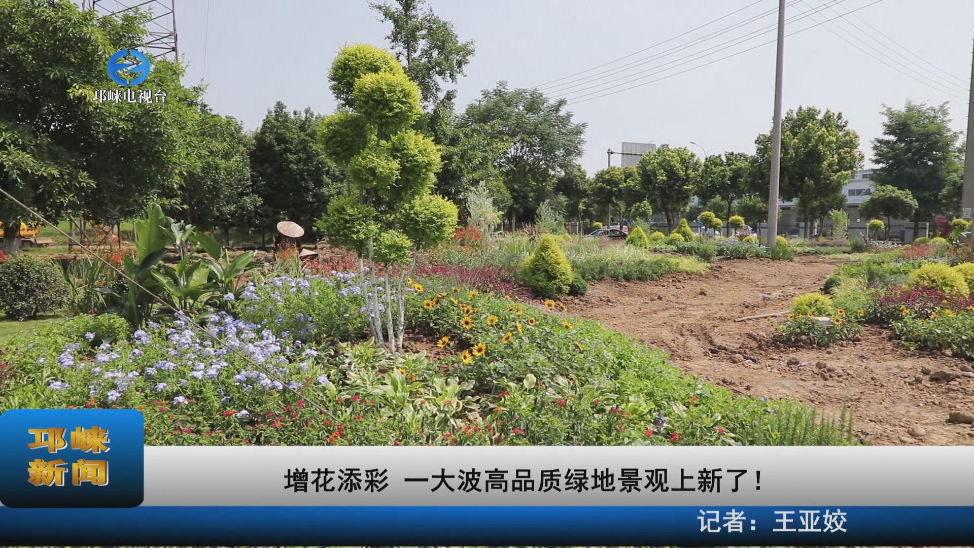【20220721】增花添彩！一大