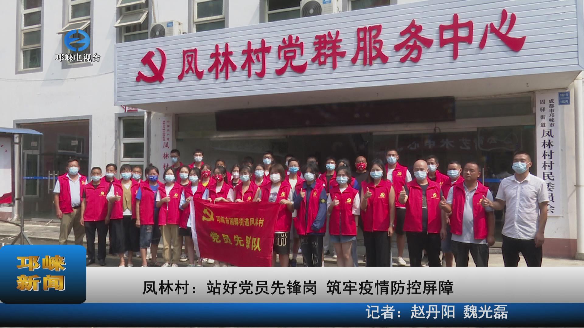 【20220801】凤林村：站好党