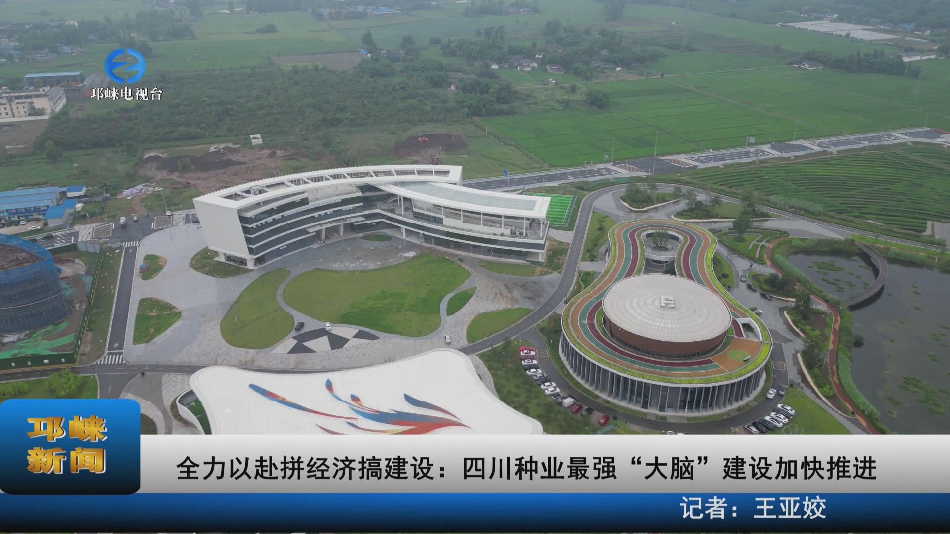 【20220826】全力以赴拼经济