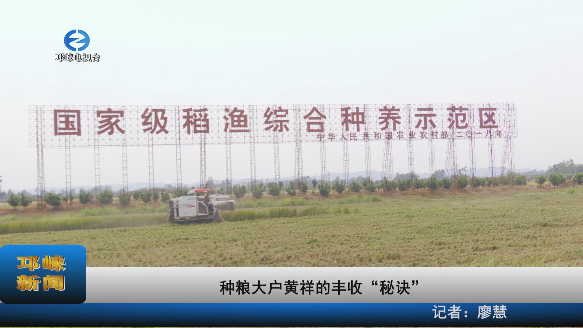 【20220826】种粮大户黄祥的