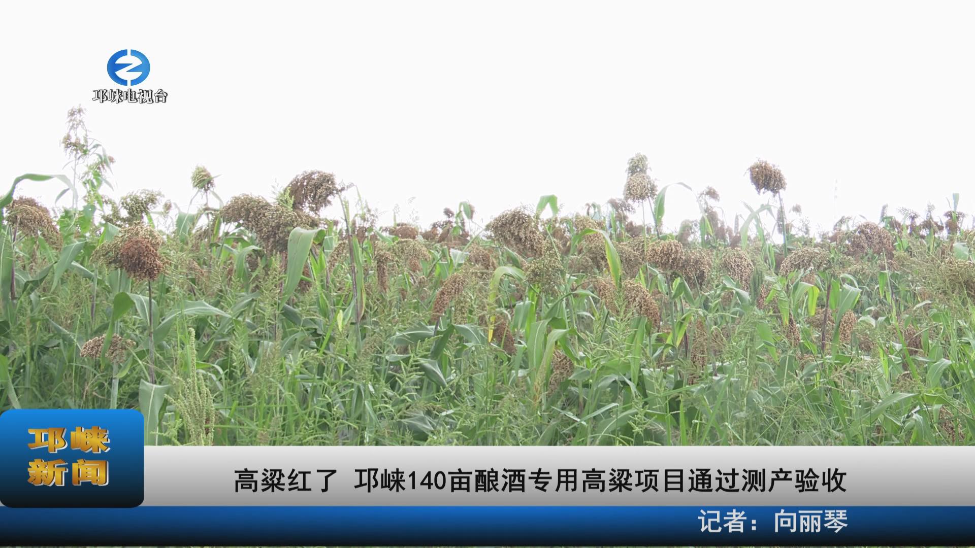 【20220923】高粱红了 邛崃