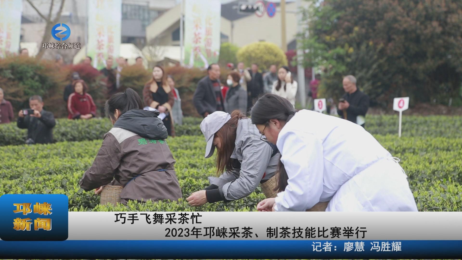 【20230329】巧手飞舞采茶忙