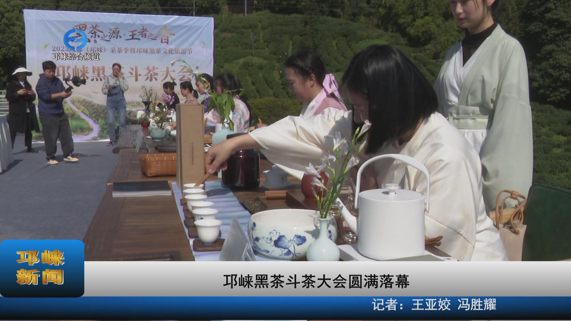 【20230330】邛崃黑茶斗茶大