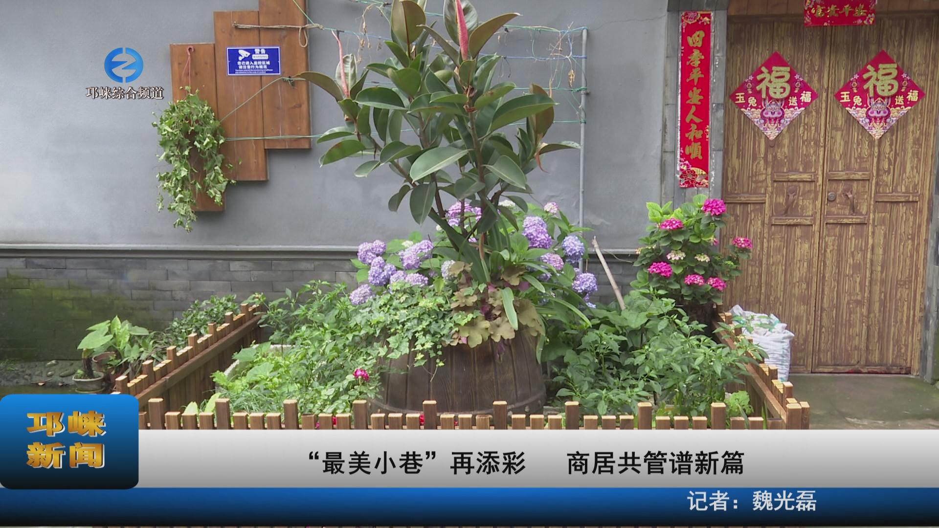 【20230510】“最美小巷”再