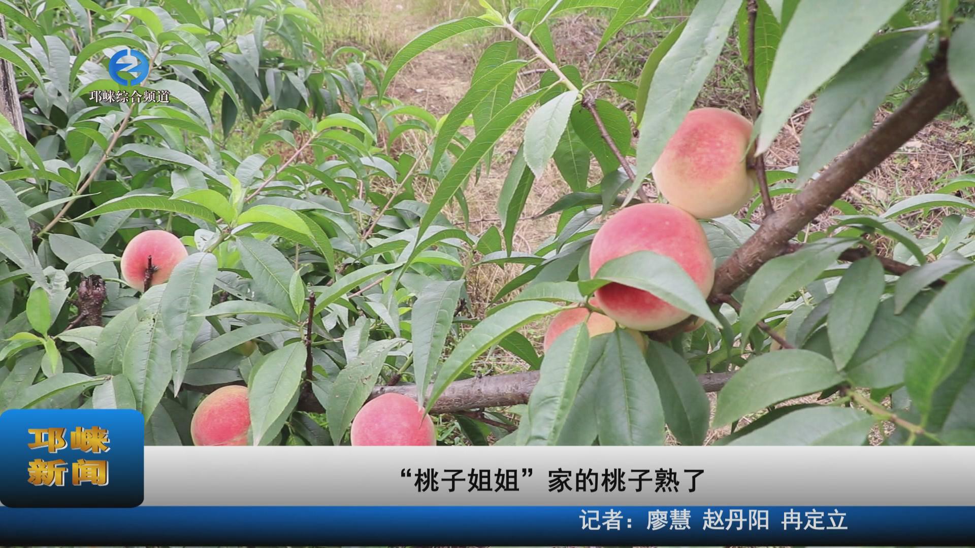 【20230609】“桃子姐姐”家