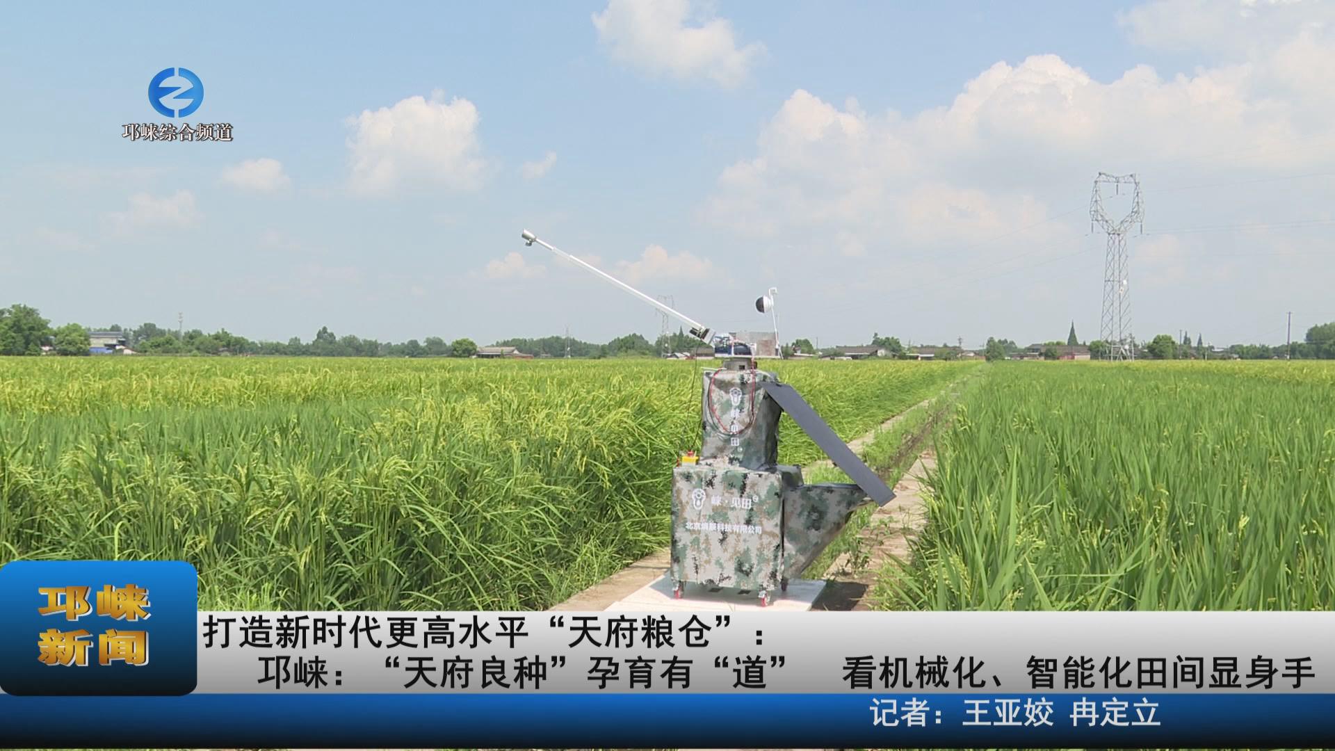 【20230811】邛崃：“天府良