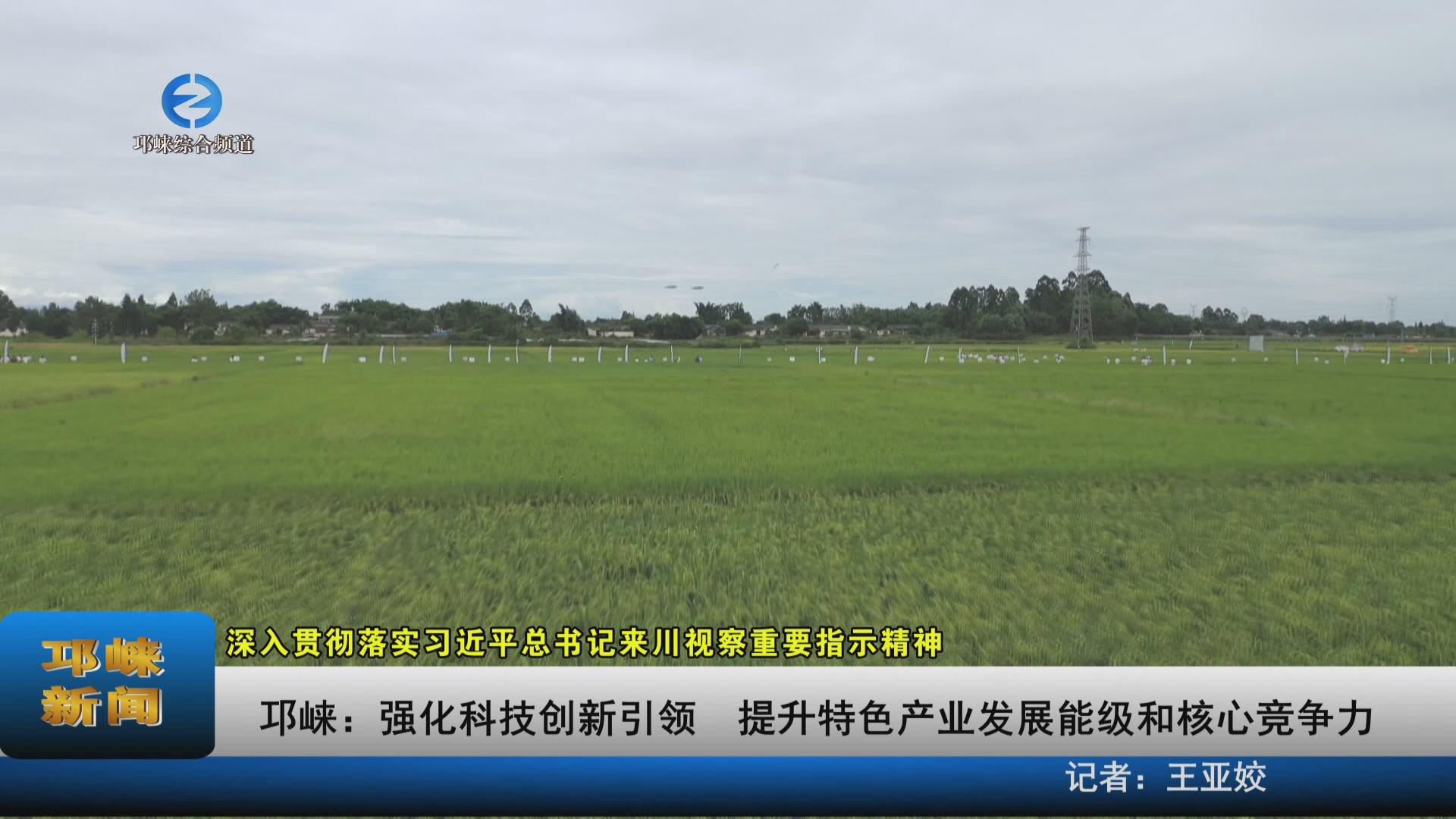 【20230814】邛崃：强化科技