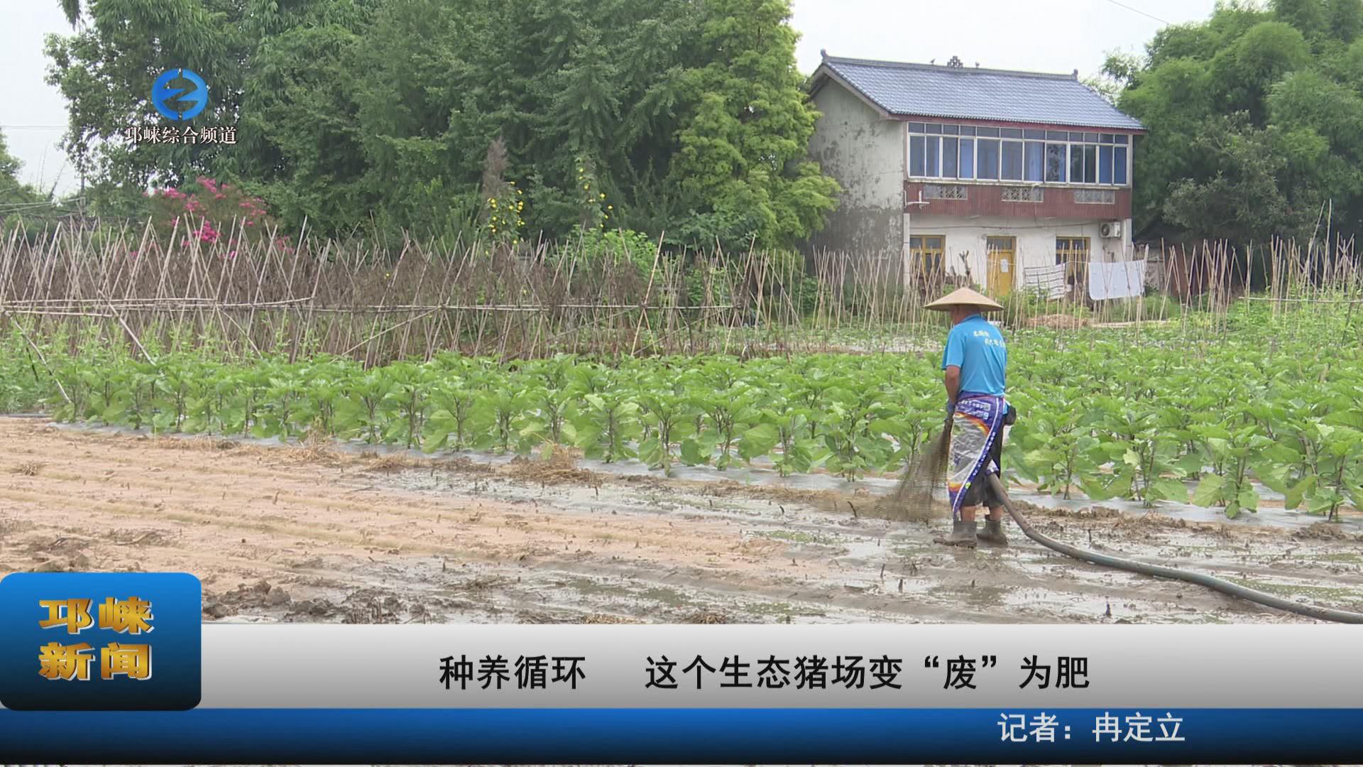 【20230815】种养循环 这个