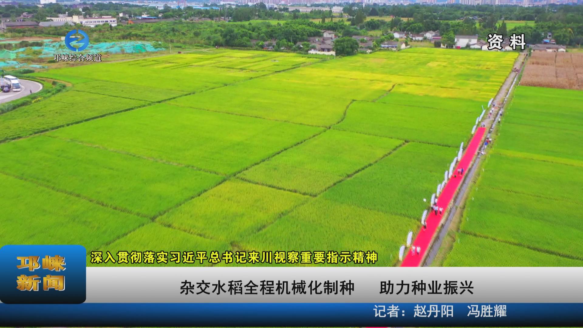 【20230828】杂交水稻全程机