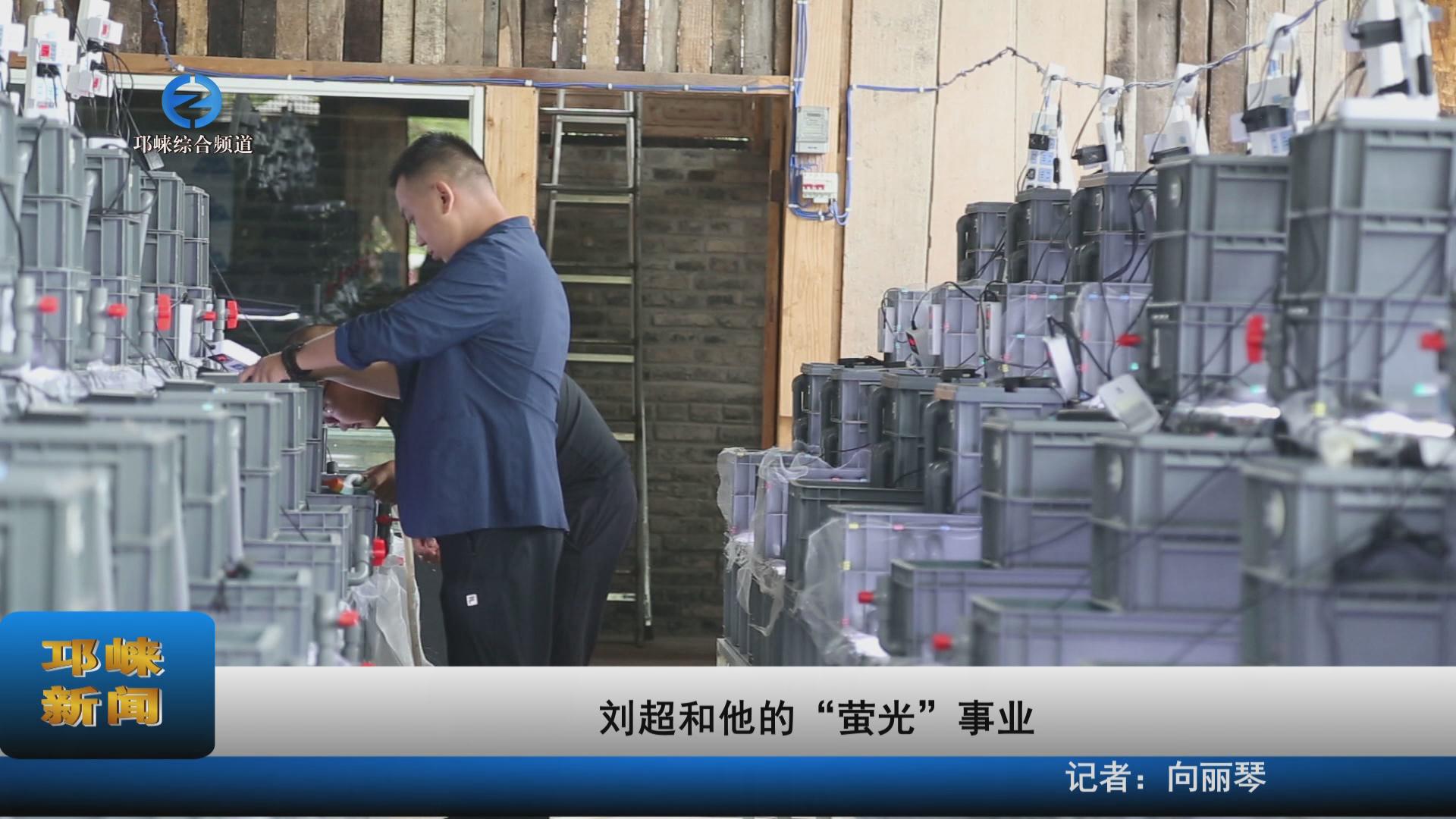 【20230831】刘超和他的“萤