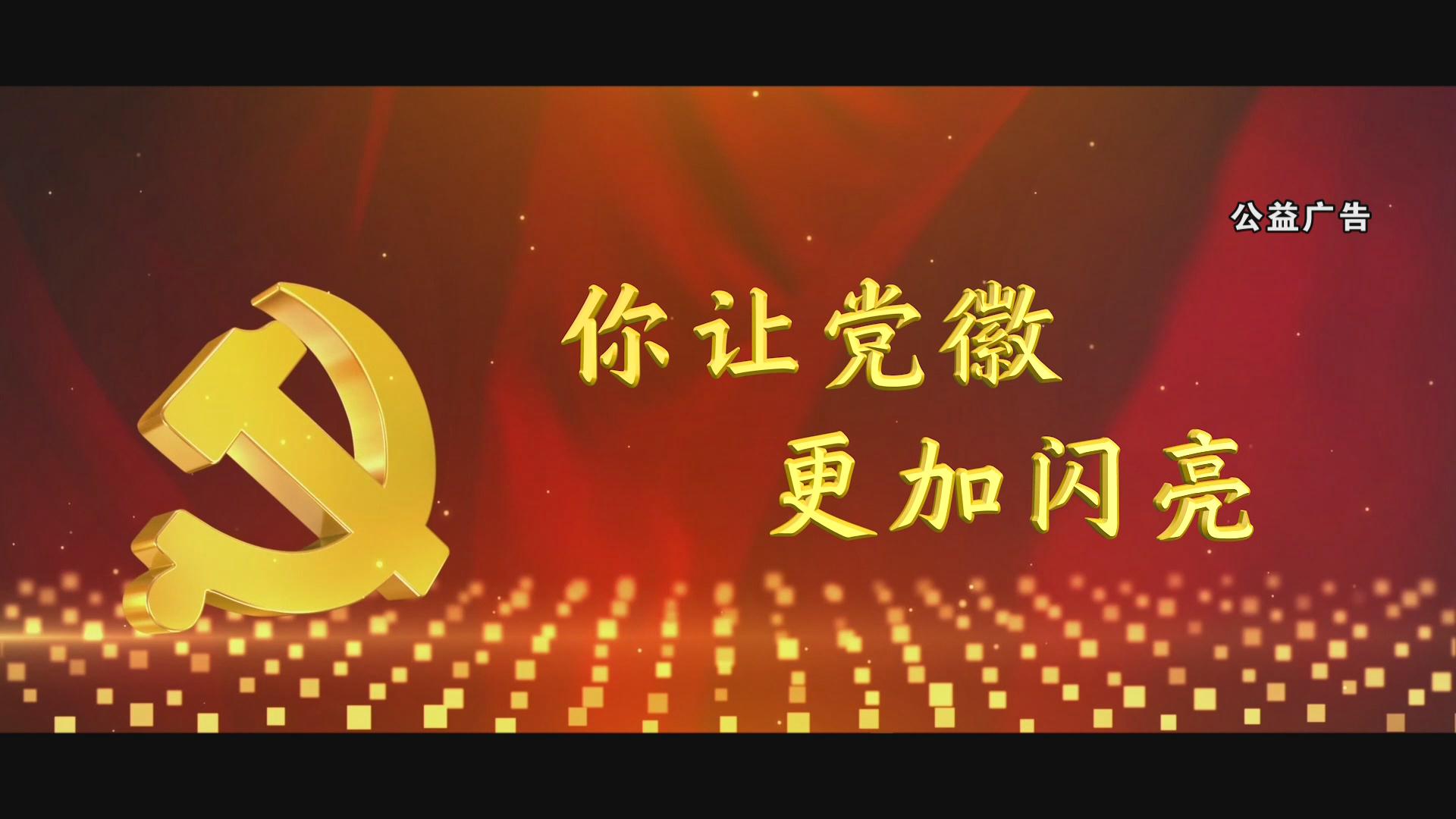 你让党徽更加闪亮