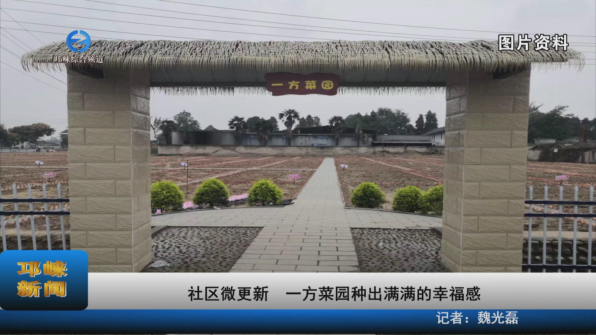 【20231114】社区微更新 一