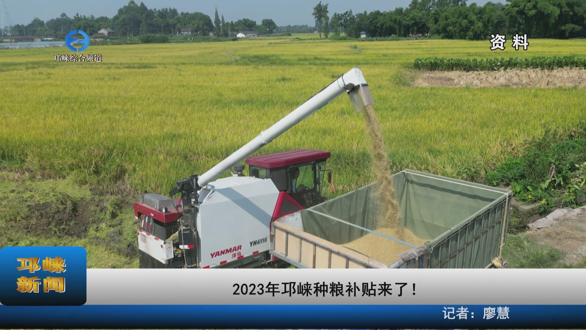 【20231114】2023年邛崃种粮