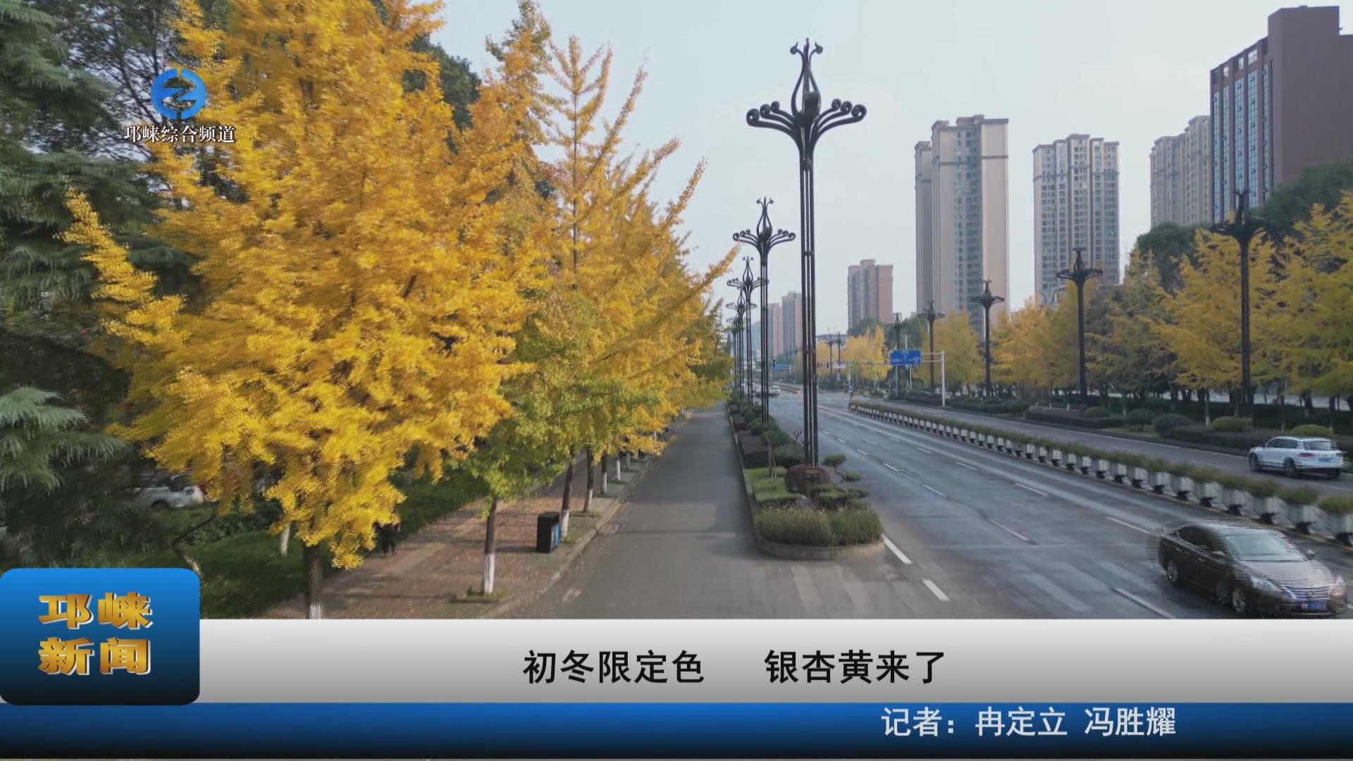 【20231128】初冬限定色 银