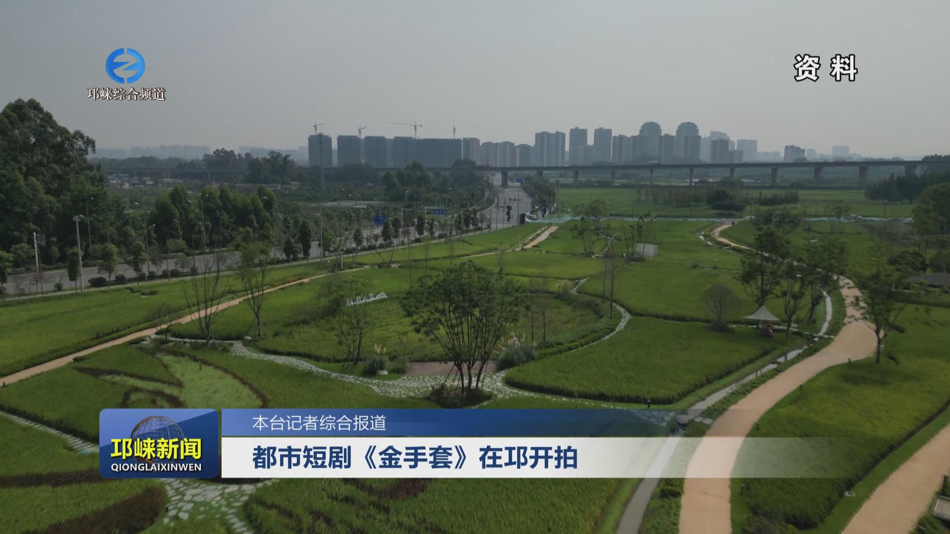 【20231225】都市短剧《金手