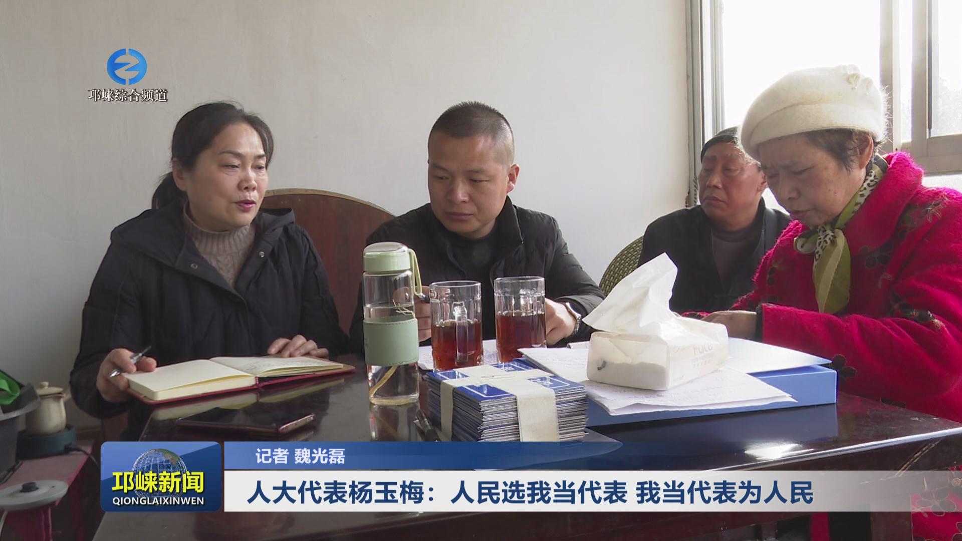 【20240119】人大代表杨玉梅