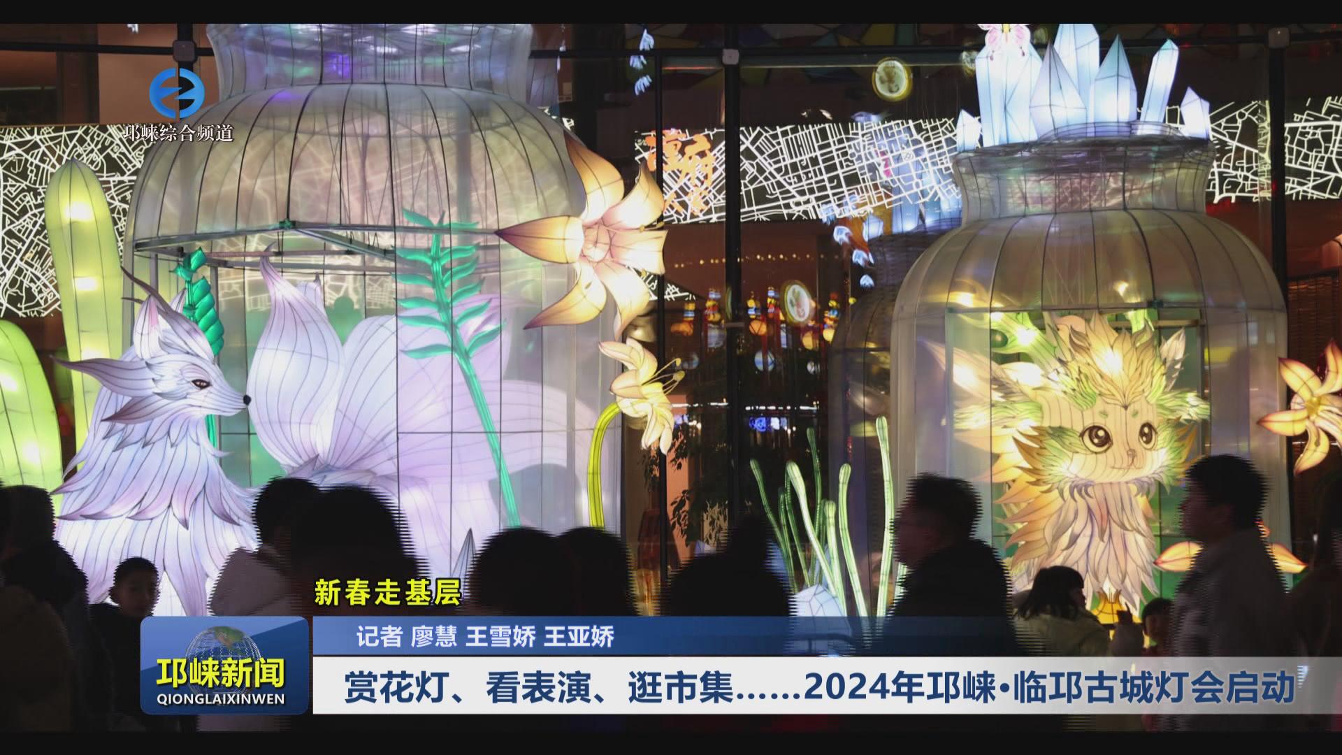 【20240208】赏花灯、看表演