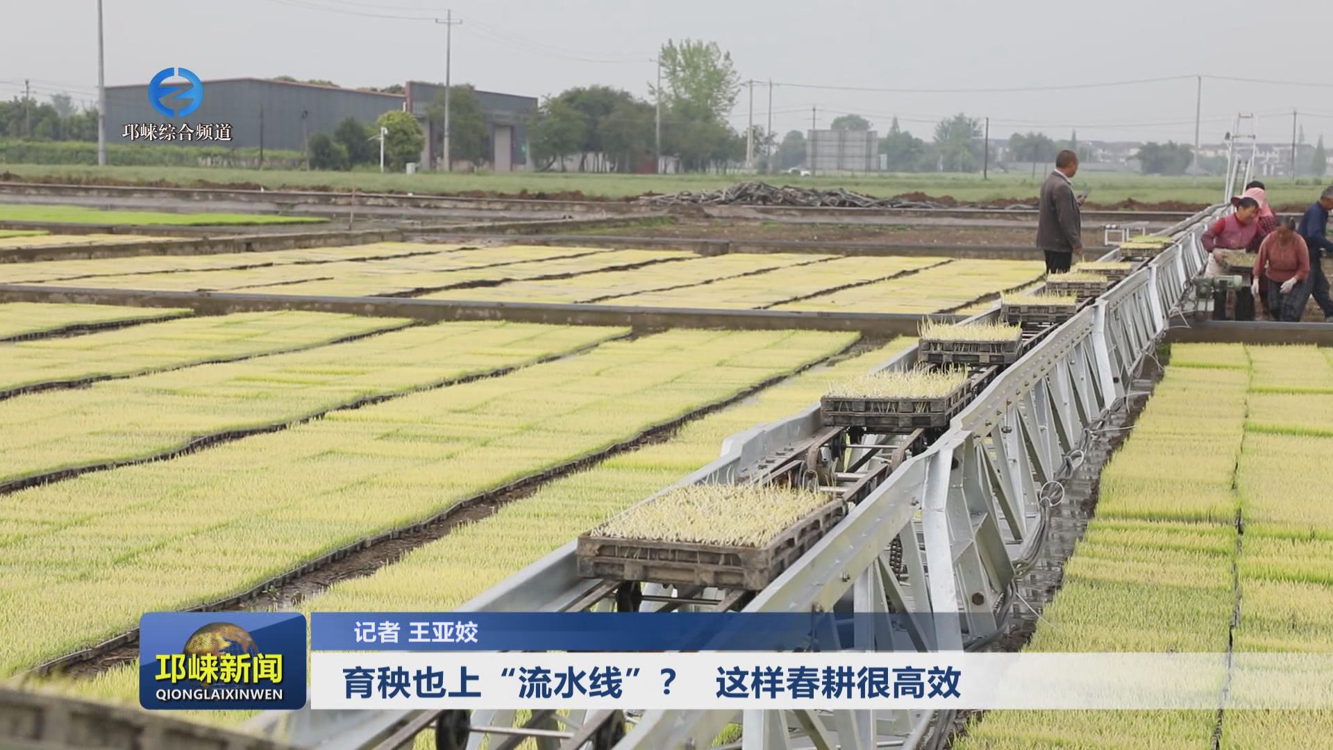 【20240410】育秧也上“流水