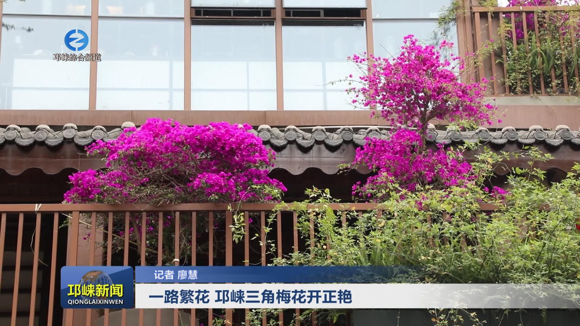 【20240507】一路繁花 邛崃